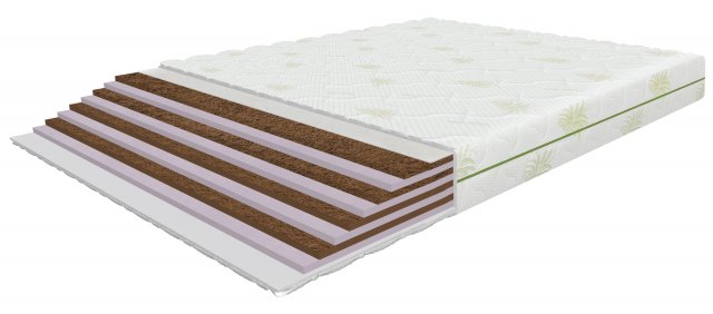 Bio-Hard 200x200x17 Mattress