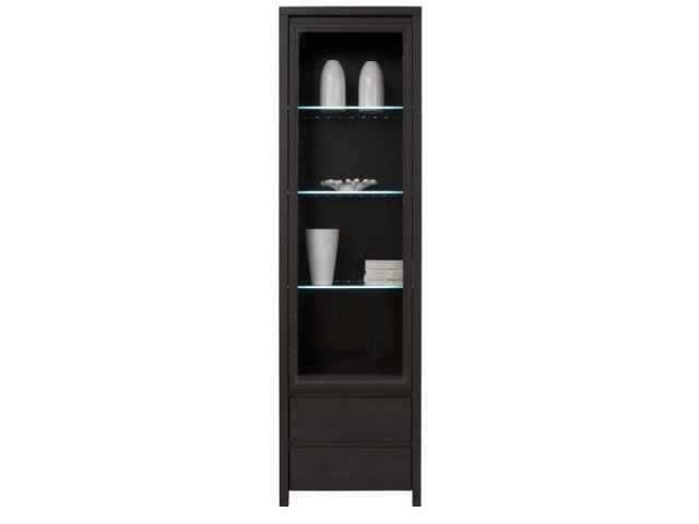 Kaspian REG1W2SL Glass-fronted cabinet