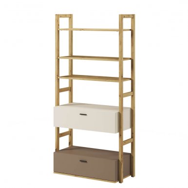 LennyLY 02 Bookcase