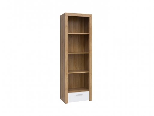 Balder REG1S Tall cabinet