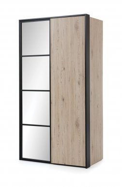 GLASSLOFT GLSZ-2D Wardrobe Premium Collection