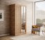 SW-DEL-A 100 cm Sliding wardrobe with mirror,Artisan