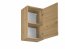 Lan- G45 P/L Wandschrank