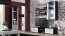 Soho S-2 Wall glass-fronted cabinet