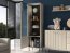 Sophia 02 Glass-fronted cabinet