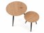 MENTONA 2 Set of two coffee tables golden oak/black