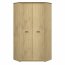 Denzel SZFNAR2D Corner wardrobe