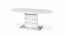 ASPEN (140-180) Extendable dining table