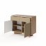 Style-Japandi D Chest with 2 doors,2 drawers and lighting