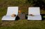 SUCCESSO Table + 2 sun lounger