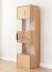 Tirano ZITIR01H Hanging display case