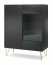 Harmony WT97 Glass-fronted cabinet