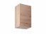 Lan- G45 P/L Wandschrank