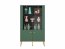 Forest 02 Glass-fronted cabinet