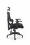 ASTRAL Office chair,black