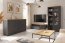 TLM REG3W2S-GF/DASN Glass-fronted cabinet