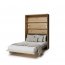 BED-CONCEPT BC-36 140x200 Электрическая Вертикальная cтенная кровать,шкаф-кровать с изголовьем