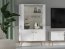 Golden 03 Glass-fronted cabinet