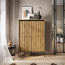 TREND TR-03 Комод Дуб artisan