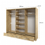 ArtiAR -01P Sliding door wardrobe with lighting and mirror 250cm