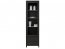 Kaspian REG1W2SL Glass-fronted cabinet
