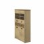 Denzel WIT NIS 2D2W1S Glass-fronted cabinet