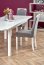 FLORIAN table white