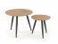 MENTONA 2 Set of two coffee tables golden oak/black