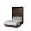BED-CONCEPT BC-36 140x200 Электрическая Вертикальная cтенная кровать,шкаф-кровать с изголовьем