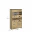 Denzel WIT NIS 2D2W1S Glass-fronted cabinet